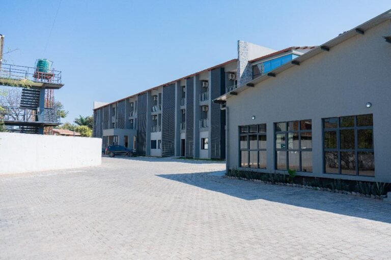 536243229 122236574954081570 3309963981476846537 n